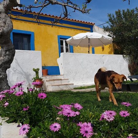 Monte Da Ti Luzia Villa FAO Dış mekan fotoğraf