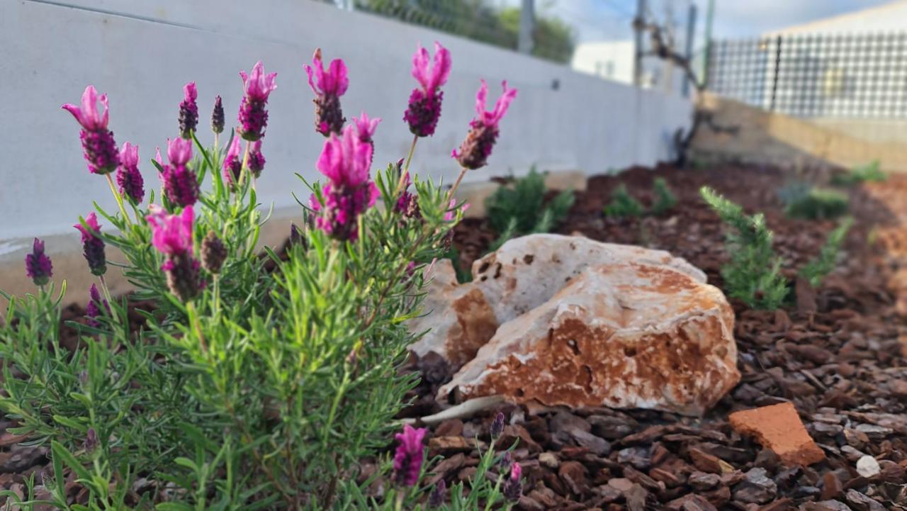 Monte Da Ti Luzia Villa FAO Dış mekan fotoğraf