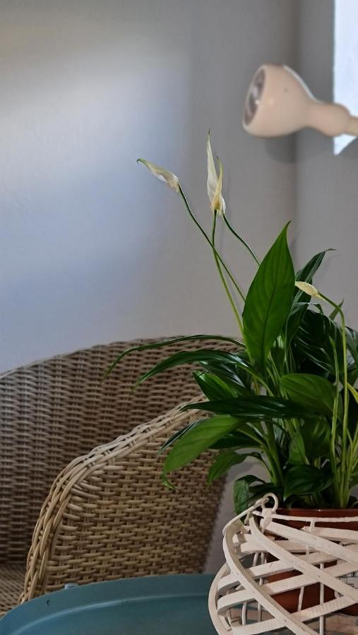 Monte Da Ti Luzia Villa FAO Dış mekan fotoğraf
